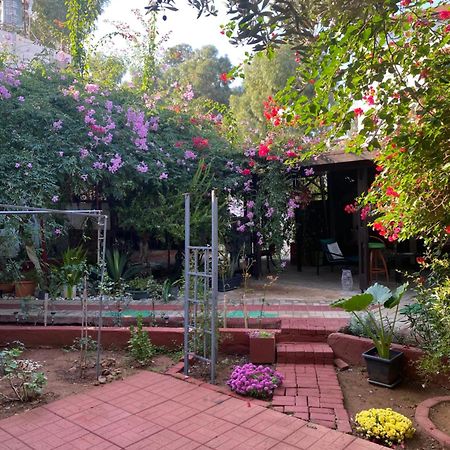 Betul Guest House Famagusta  Zewnętrze zdjęcie