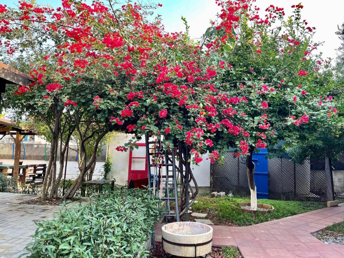 Betul Guest House Famagusta  Zewnętrze zdjęcie