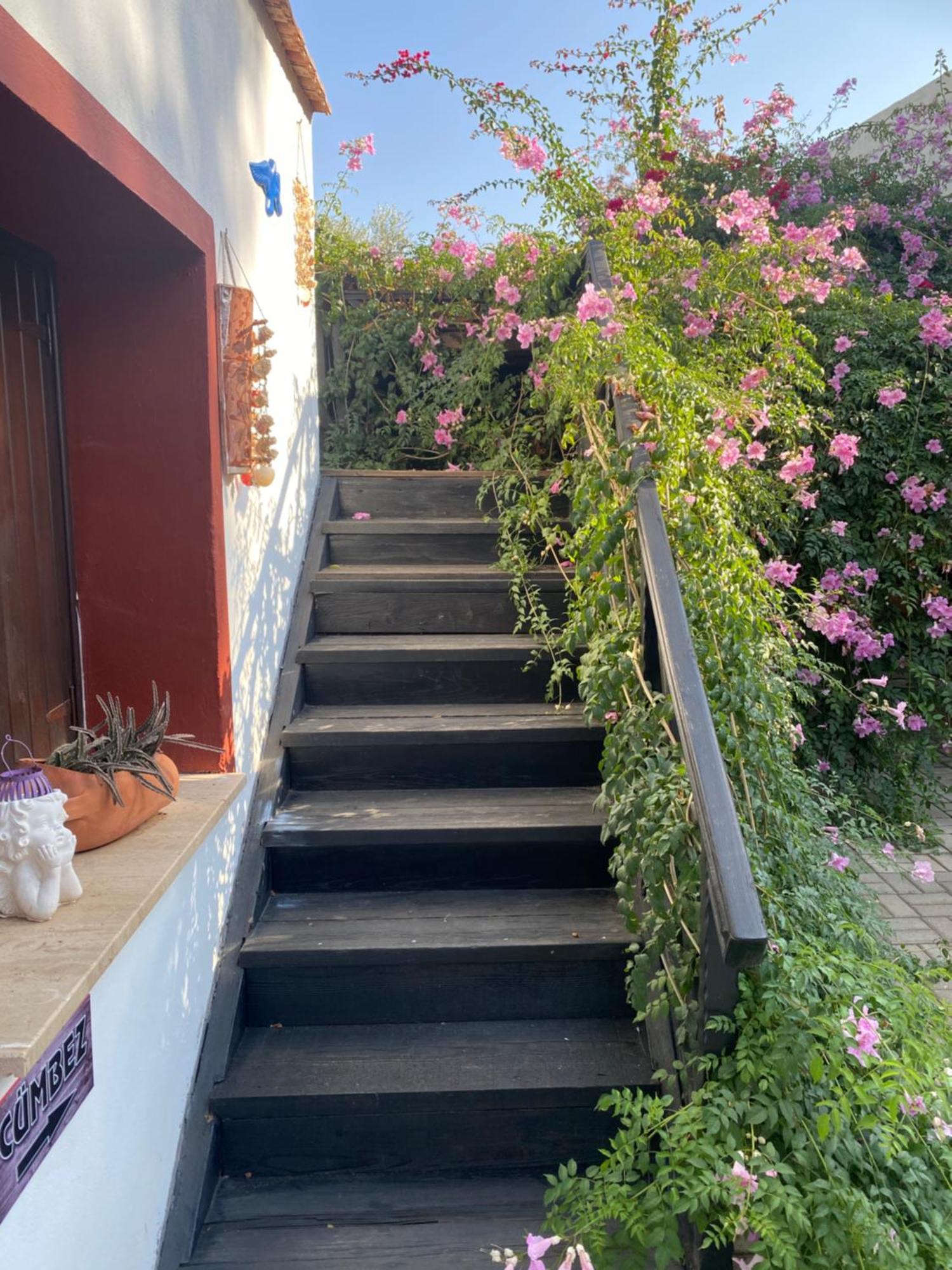 Betul Guest House Famagusta  Zewnętrze zdjęcie